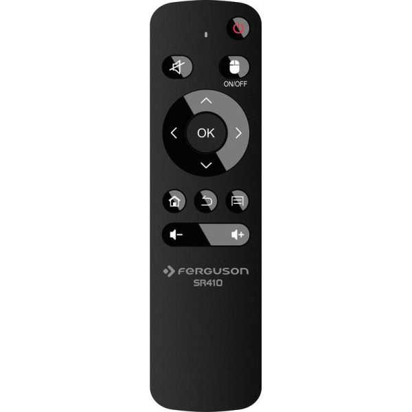 FERGUSON-SR_410